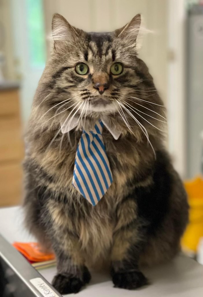 Thomas