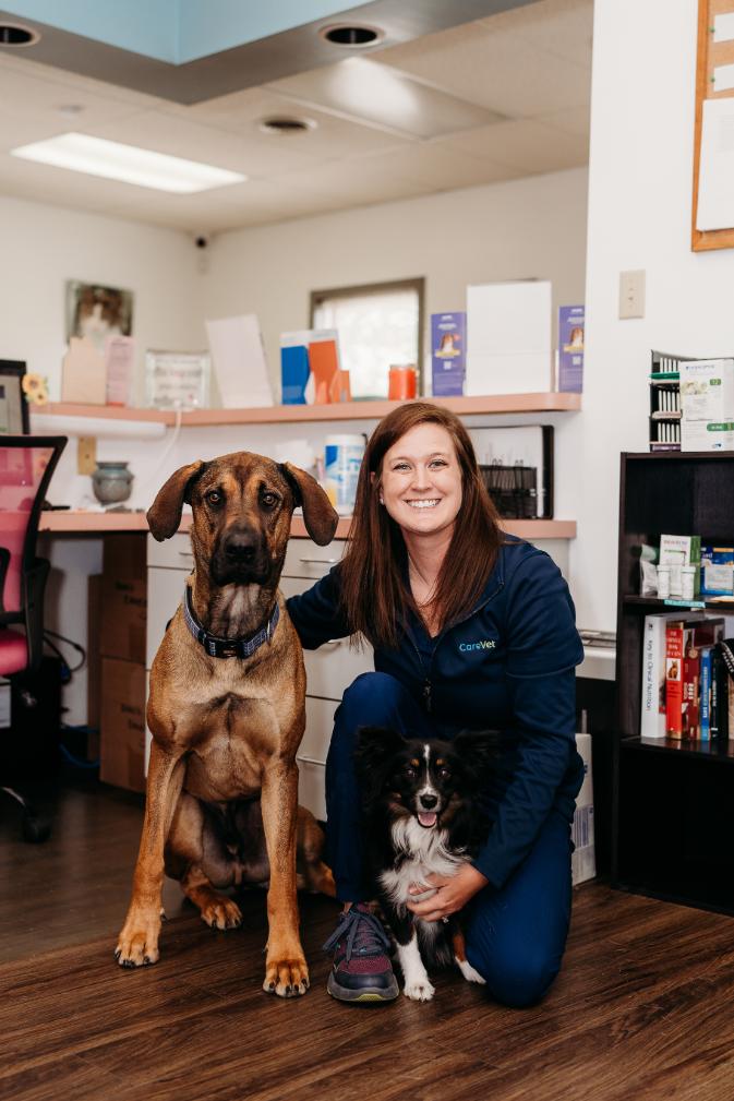 Danielle B., B.S. Veterinary Medical Technology