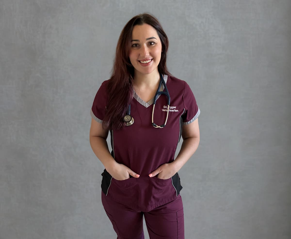 Dr. Egger
