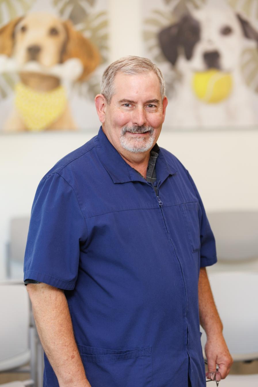 Dr. David Wille