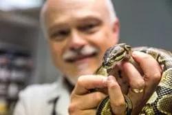 Dr. Paul F. Gustafson