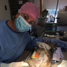 Dr. Ariel Mendlowitz