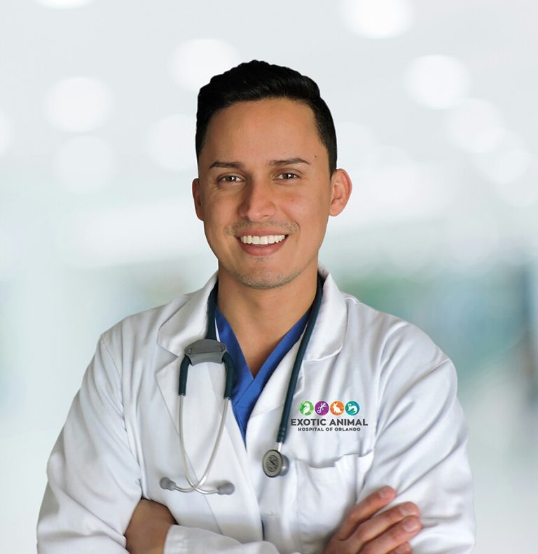Santiago Díaz