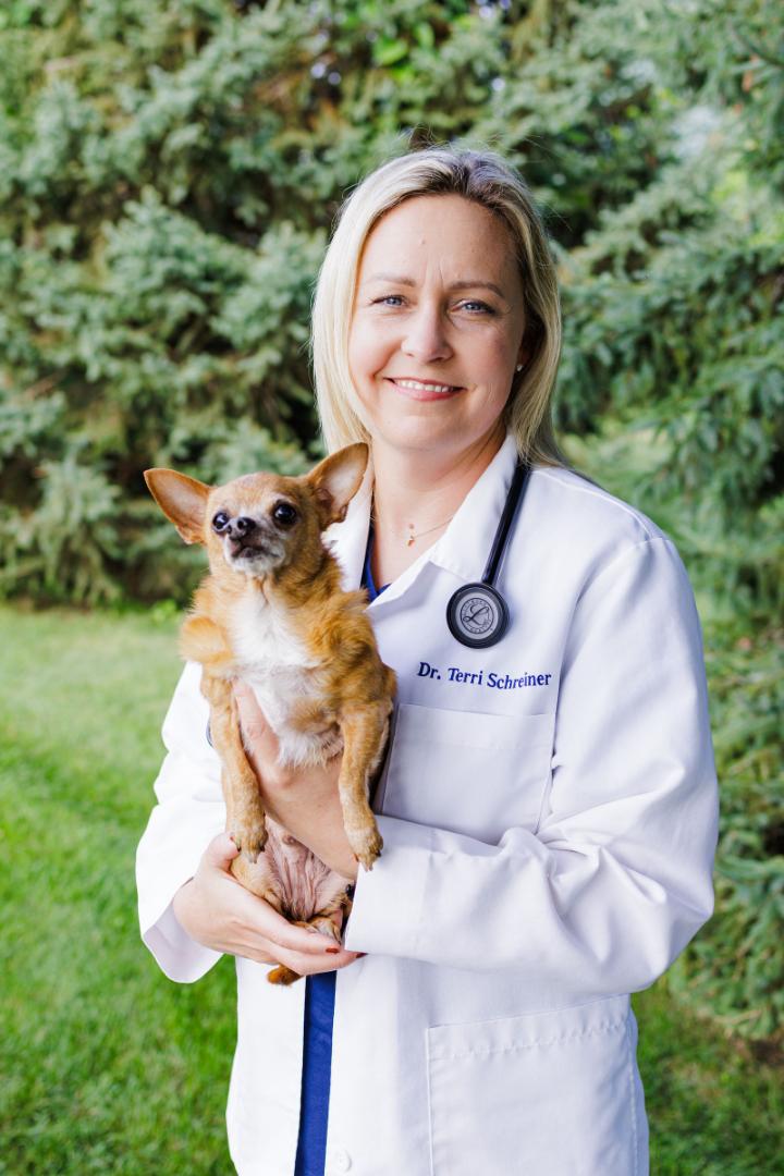 Dr. Terri Schreiner