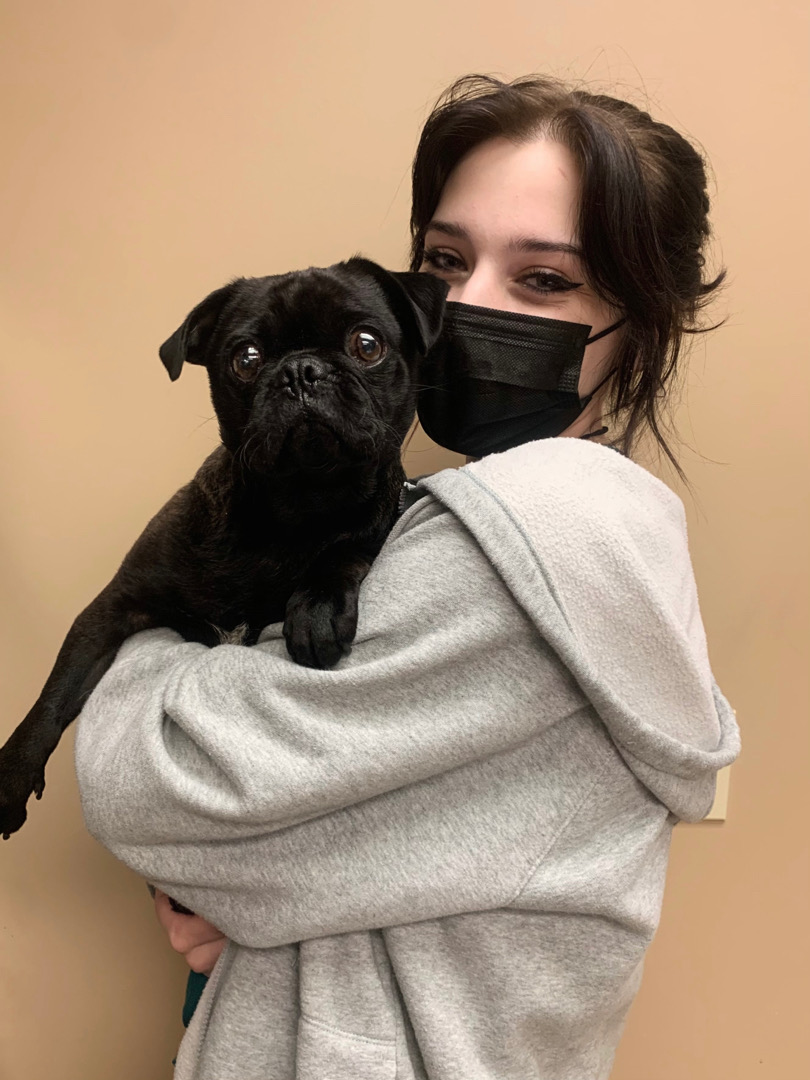 Noëlle, VA, LVT Student