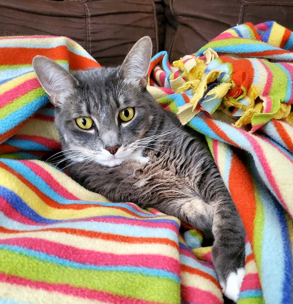 Max
