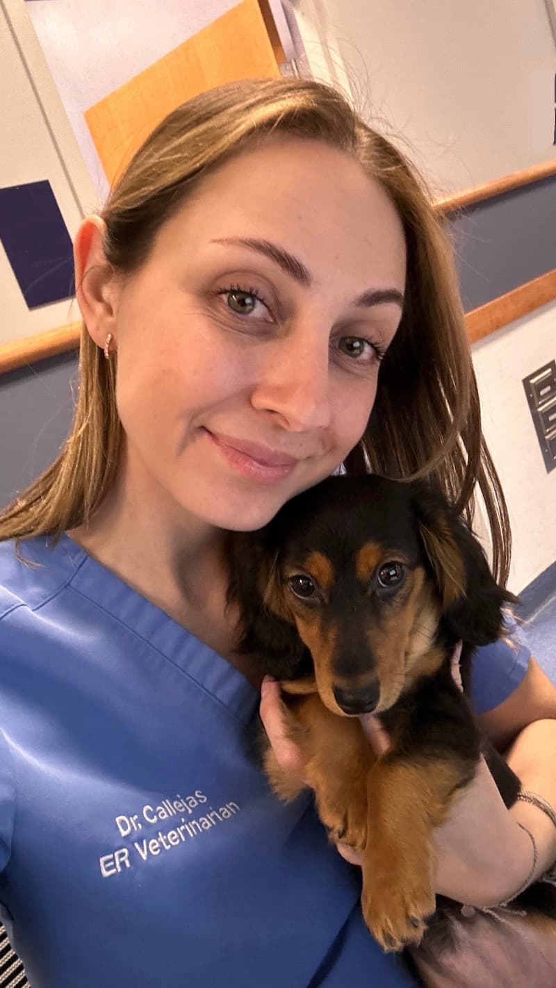 Dr. Breanna Callejas