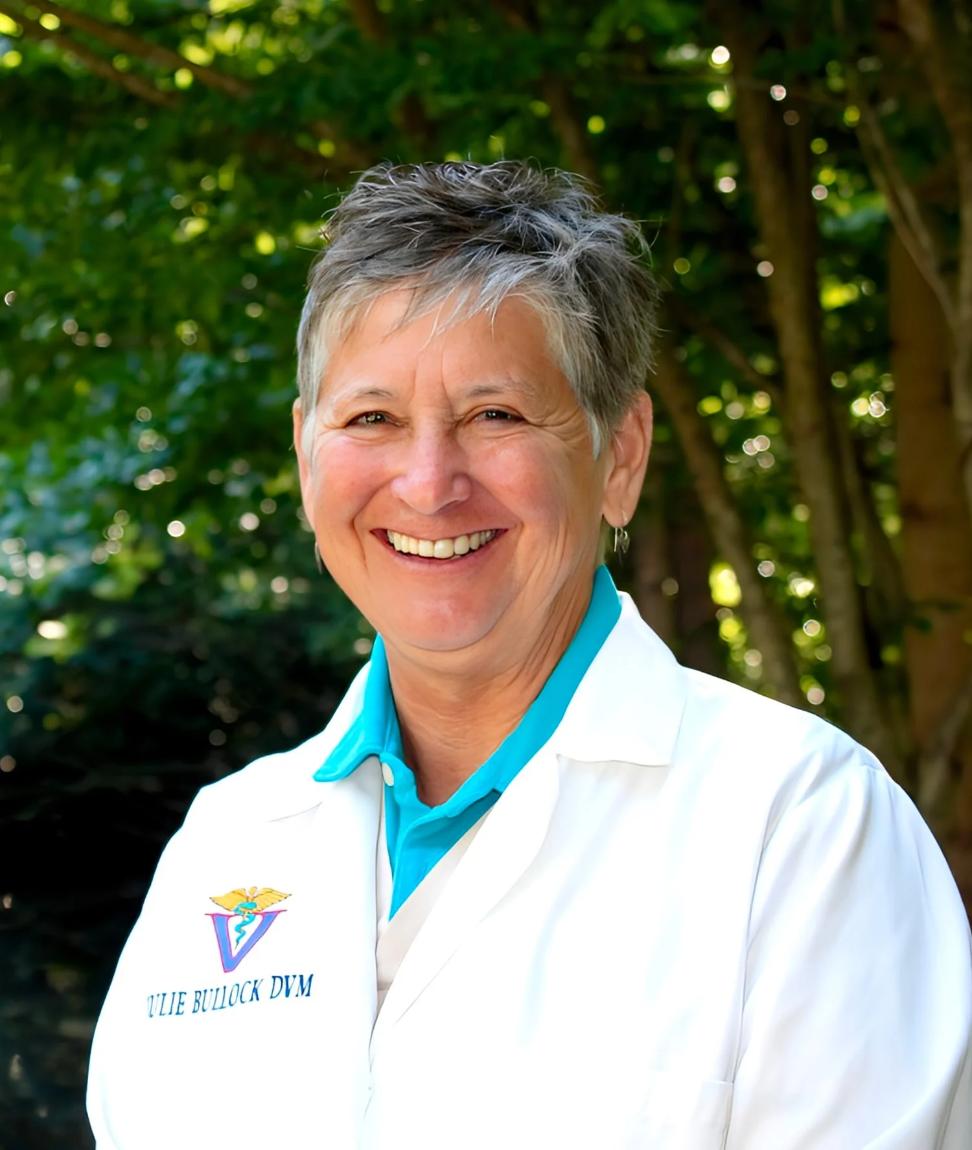 Dr. Julie Bullock