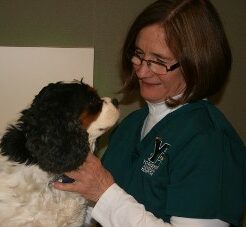Dr. Cynthia Neibert
