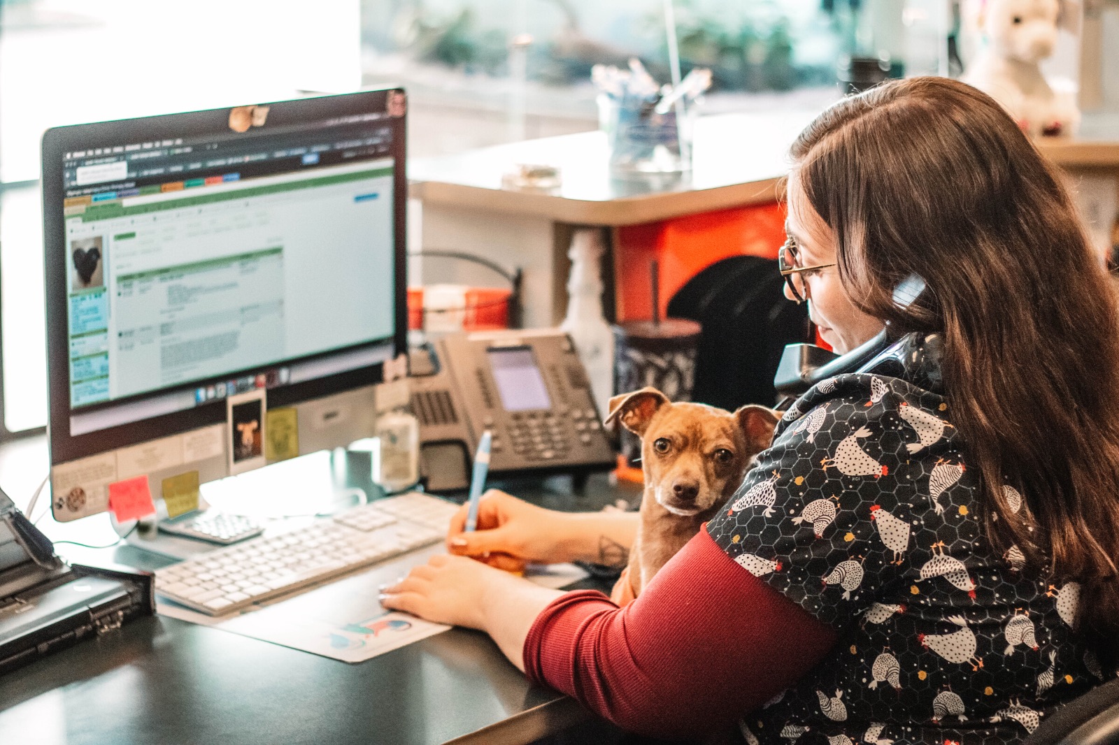 Finding Work/Life Balance in the Veterinary Industry | CareVet