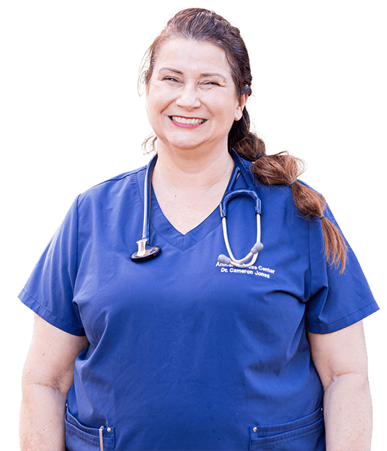 CareVet veterinary professional in scrubs