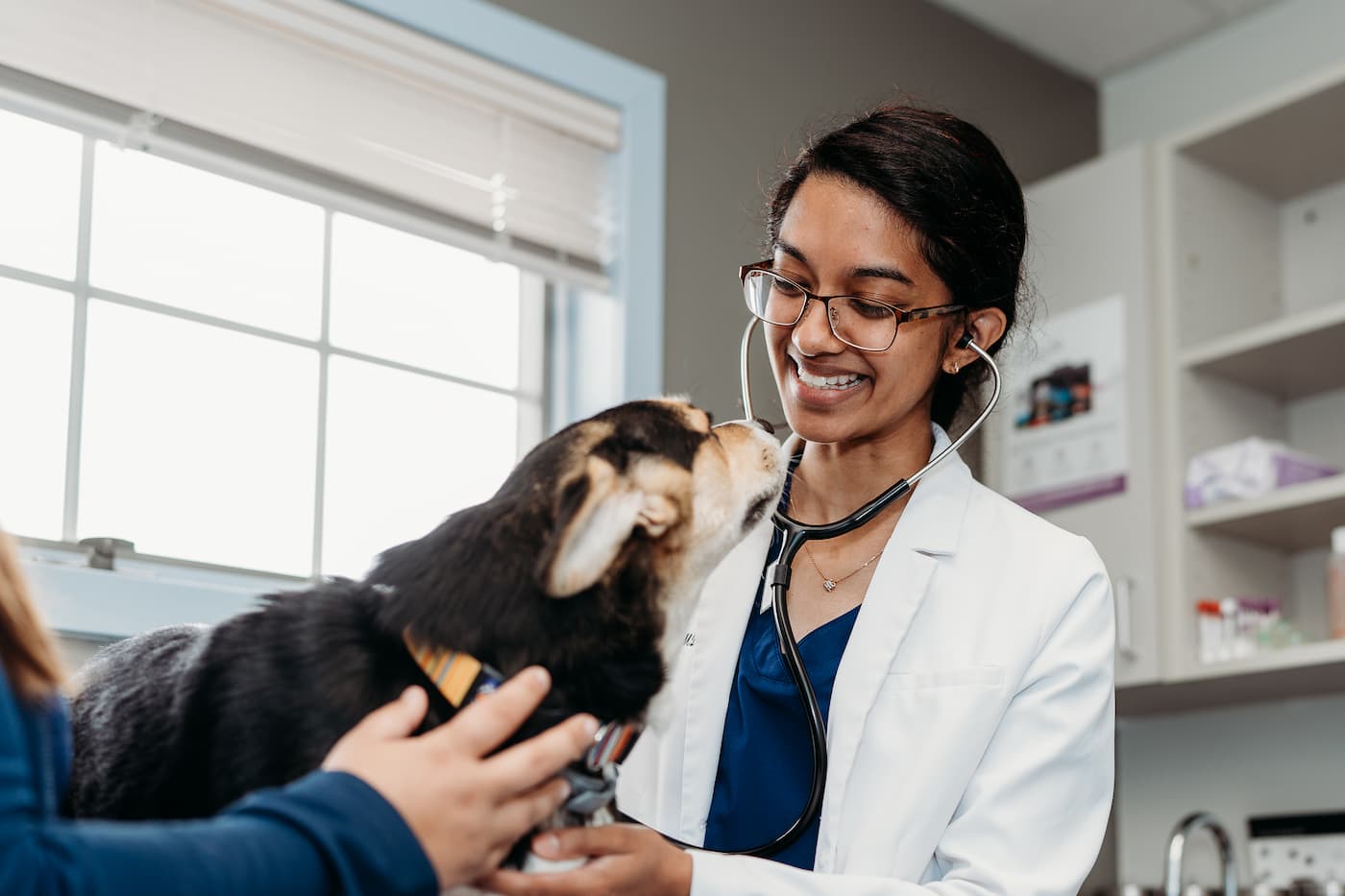 Dental Services Image
