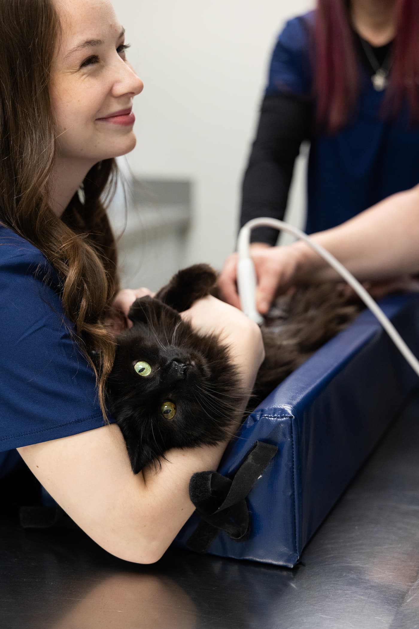 Dental Services Image