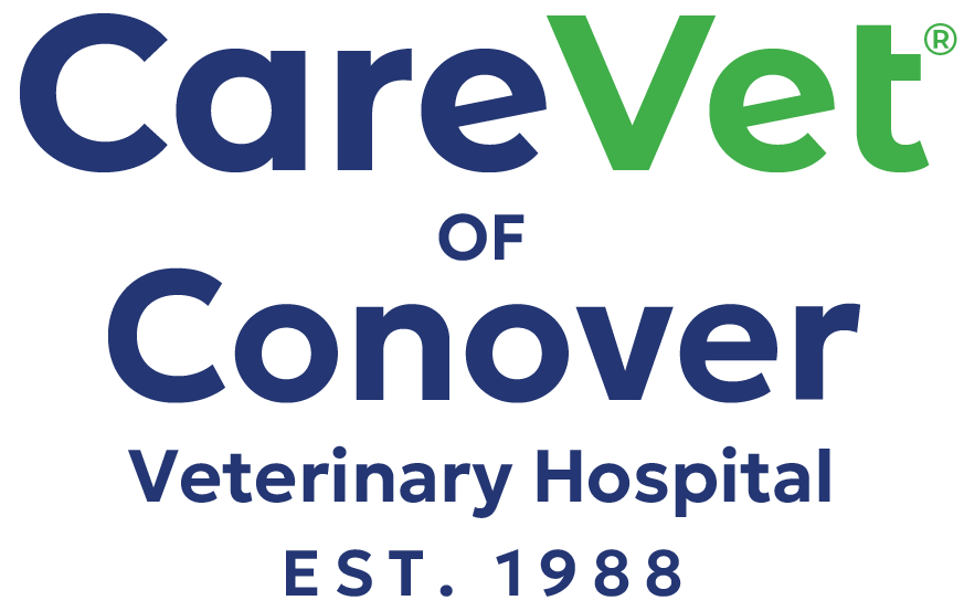 CareVet of Conover Veterinary Hospital Logo