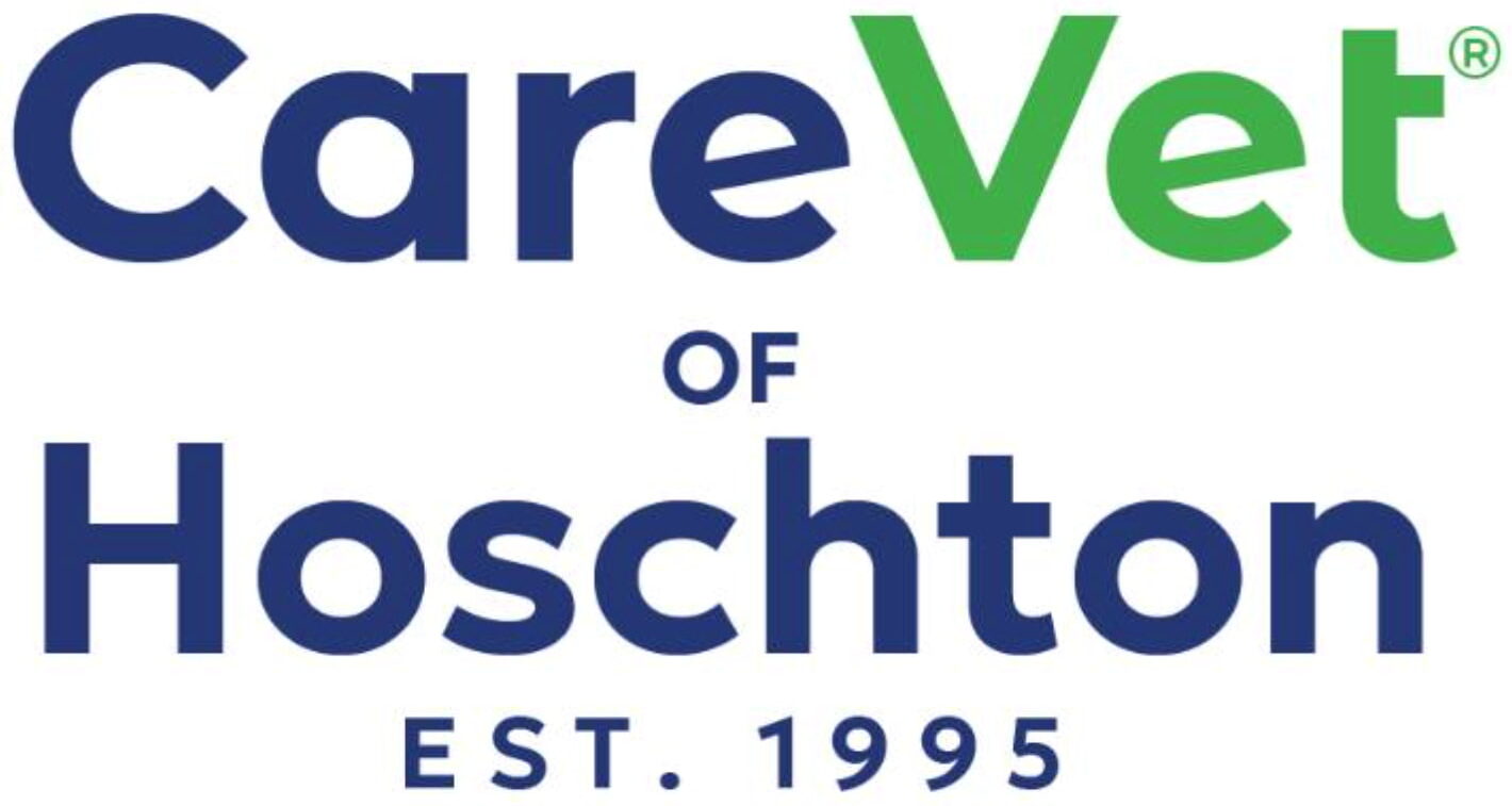 CareVet of Hoschton Logo