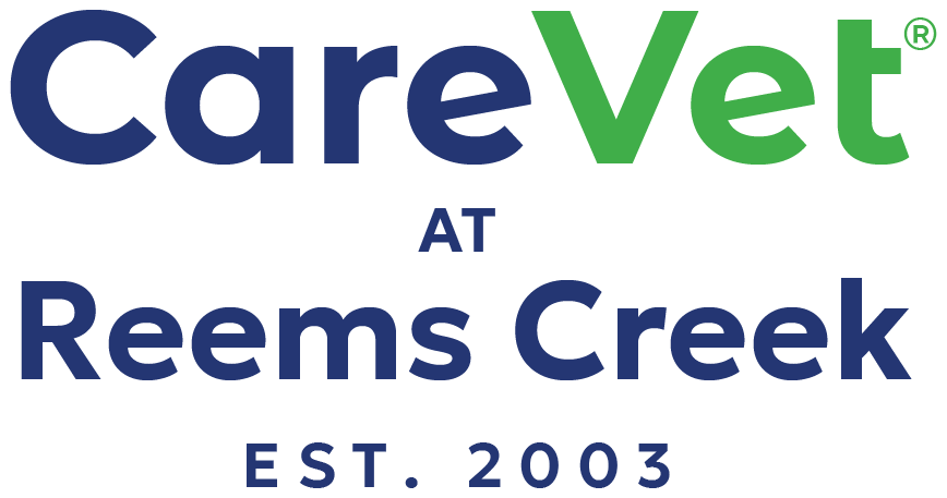 CareVet at Reems Creek Logo