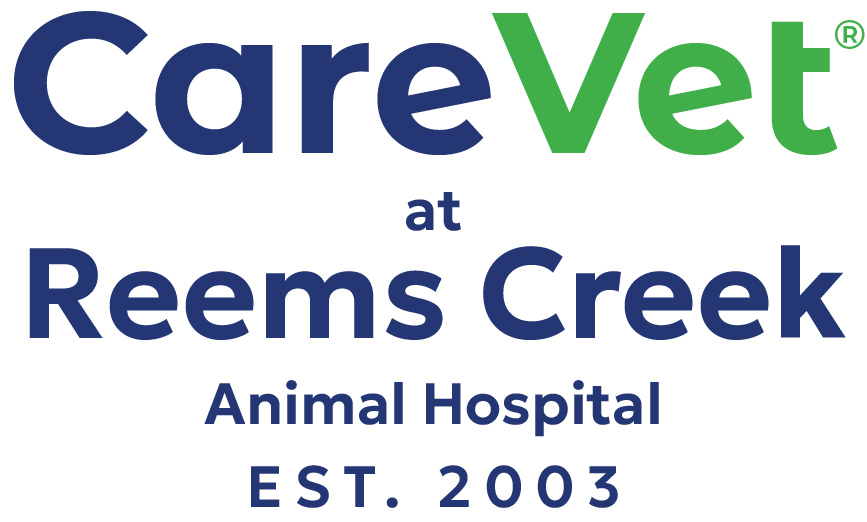 CareVet at Reems Creek Animal Hospital Logo