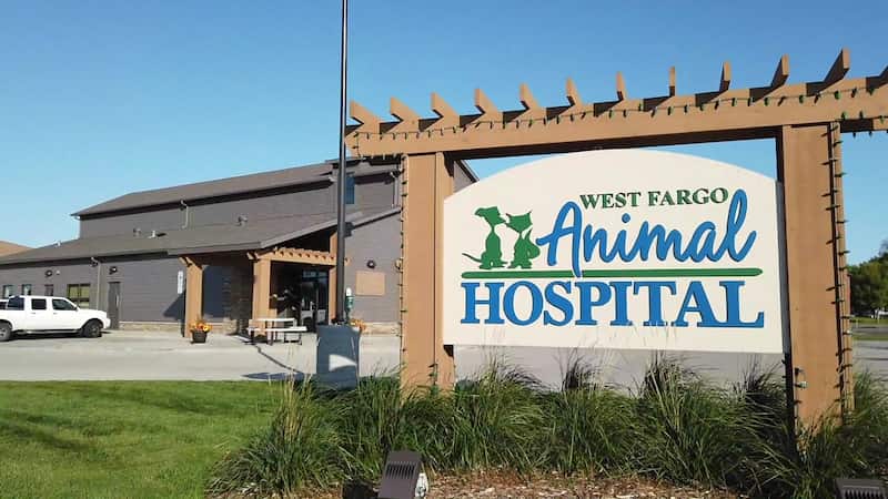 Educational Videos - CareVet of West Fargo, Veterinarian in West Fargo, ND