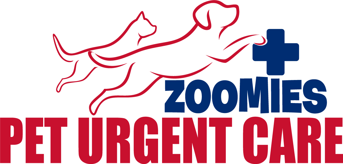 Zoomies Pet Urgent Care at CareVet of Palmer Lake