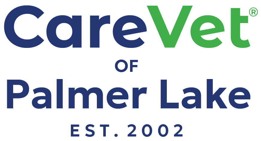 City Vets Logo