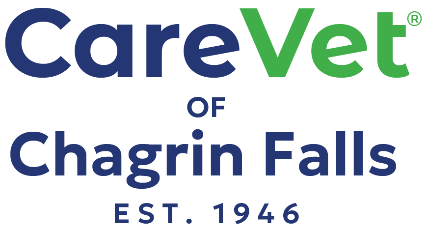Chagrin Valley Logo
