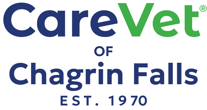 Chagrin Valley Logo
