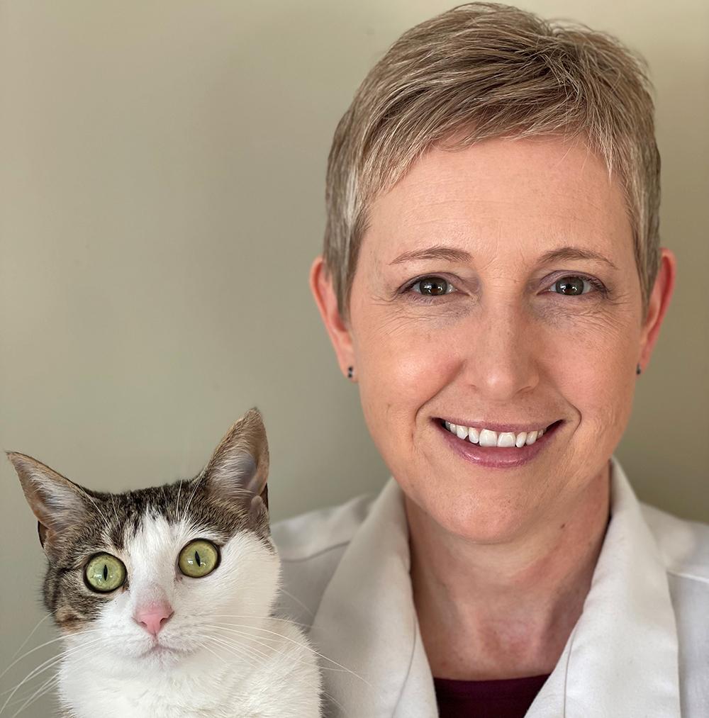 Animal Medical Clinic (St. Paul)