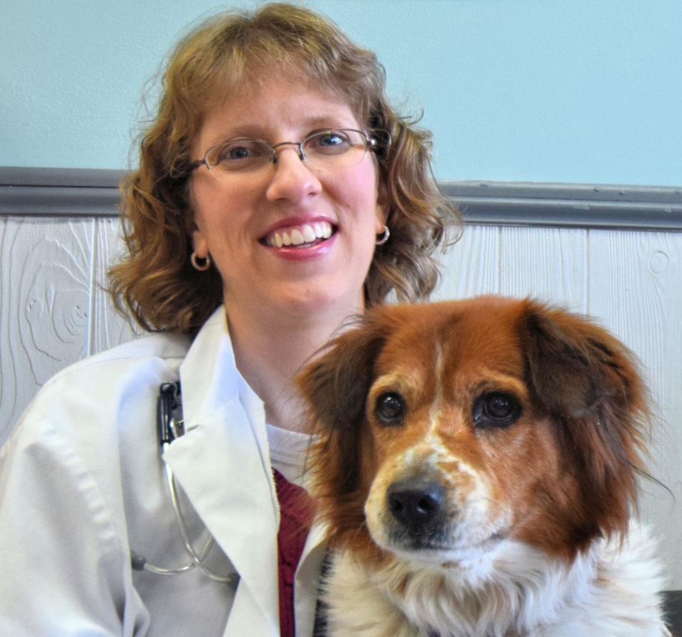 Animal Medical Clinic (St. Paul)