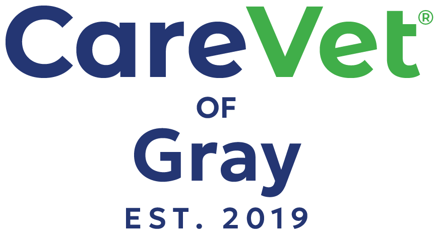 CareVet of Gray
