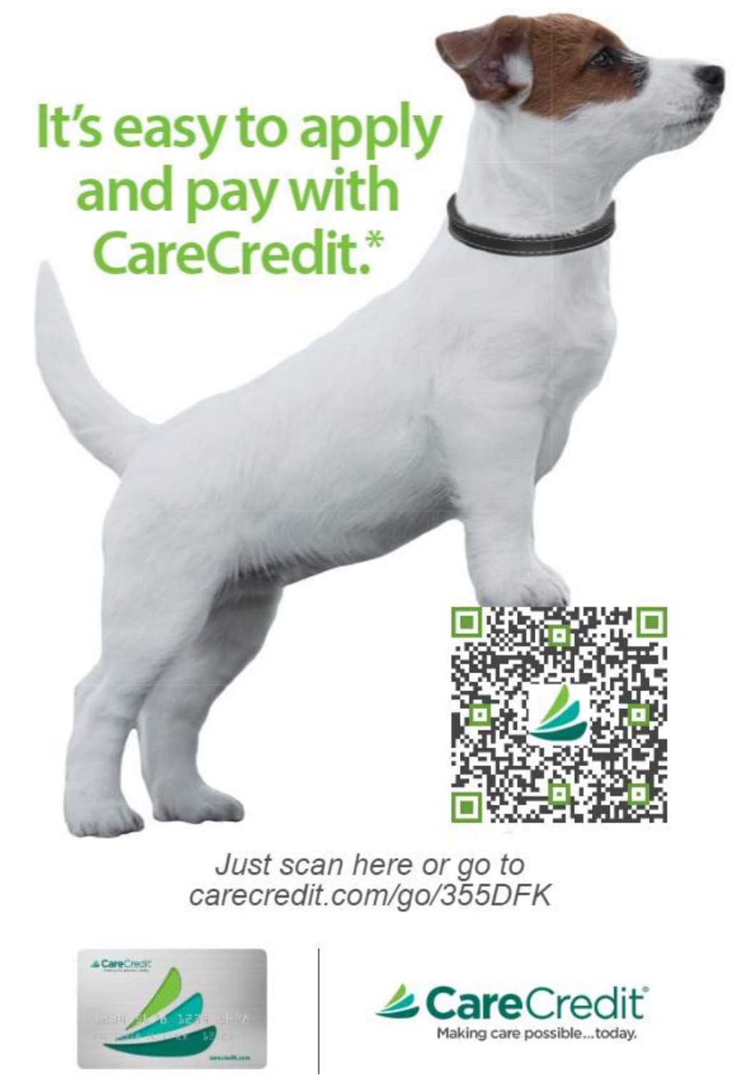 Inquisitive dog with a CareCredit QR Code