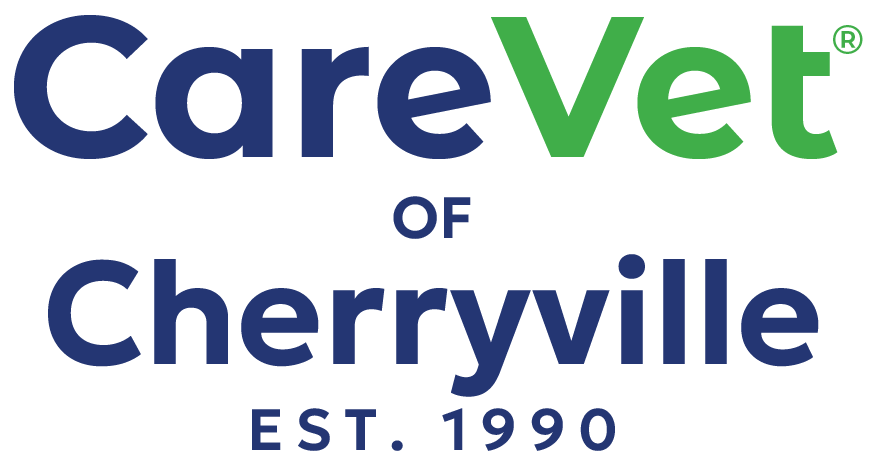 CareVet of Cherryville Logo