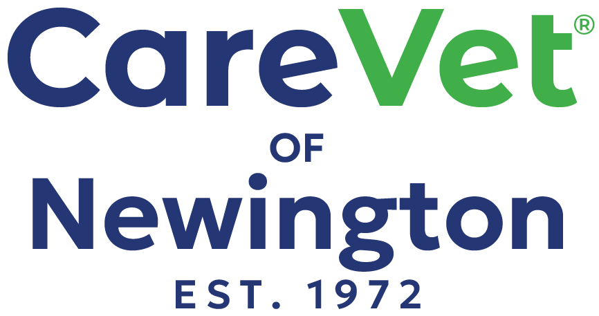 CareVet of Newington Logo