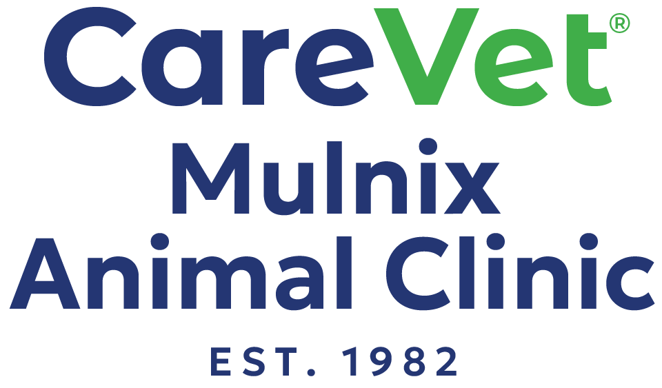 CareVet Mulnix Animal Clinic Logo
